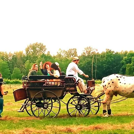 La Regina Del Bosco Séjour à la ferme Rivignano