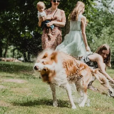 La Regina Del Bosco *