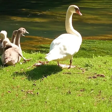 Farmház La Regina Del Bosco *