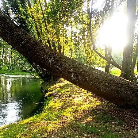 La Regina Del Bosco Farmház *